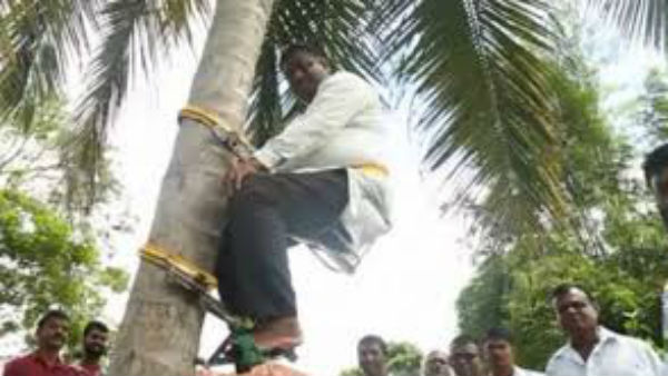 దేశంలో కొబ్బరి కొరత ఉందన్న మంత్రి 