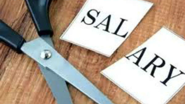  వ్యవసాయంవైపు చూపు..