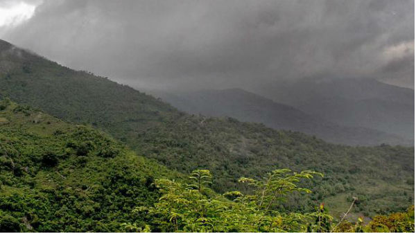 విశాఖ ఏజెన్సీలో వింత వ్యాధి .. అలెర్ట్ అయిన వైద్య బృందం విశాఖ ఏజెన్సీలో వింత వ్యాధి .. అలెర్ట్ అయిన వైద్య బృందం