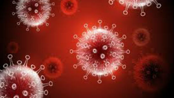  కరోనా మహమ్మారి ఒకటే చివరిది కాదు