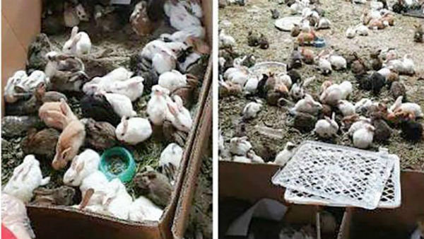 తిండి, నీరు లేక..