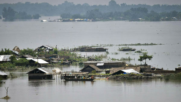 మలేరియా, డెంగ్యూ..
