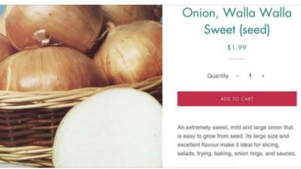  సెక్సీగా ఉందని ఉల్లిపాయ ఫొటో తొలగించిన ఫేస్‌బుక్..