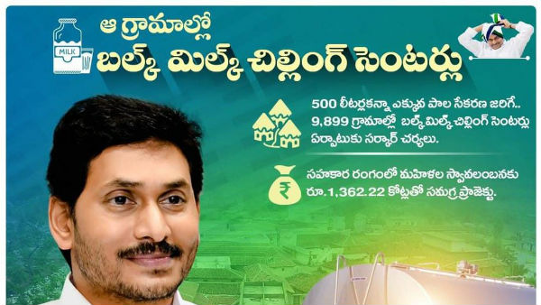  అమూల్‌ ప్రాజెక్టు రెడీ...