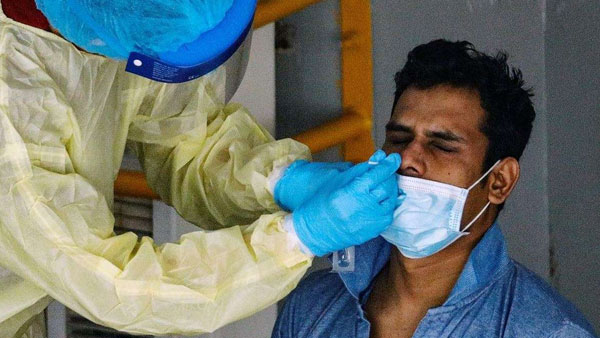 ధరల వివరాలు