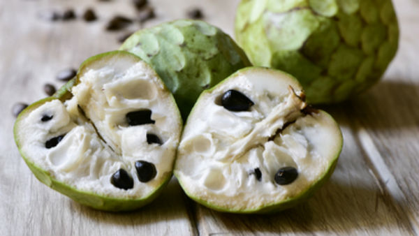  16వ శతాబ్దంలో మనదేశంలోకి సీతాఫలం