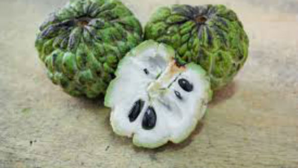  సీతాఫలంతో ఉపయోగాలు