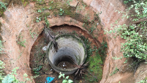 క్రిష్ణగిరి, ధర్మపురి అటవీ అధికారుల పర్యవేక్షణలో ఏనుగును కాపాడే ప్రయత్నం 