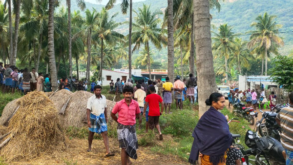 జేసీబీలు , క్రేన్ల సాయంతో ఏనుగును రక్షించడం కోసం పనిచేసిన యాభై మంది 