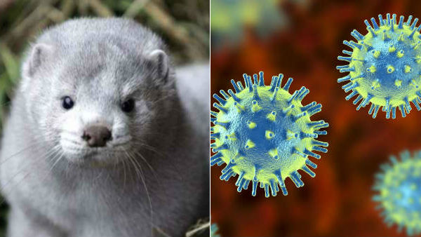 గతంలో స్పెయిన్,నెదర్లాండ్స్‌లోనూ... 