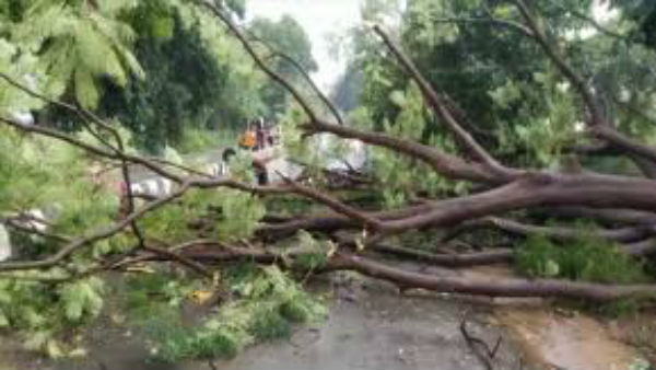 తిరుమల,తిరుపతి స్తంభించిన జనజీవనం...