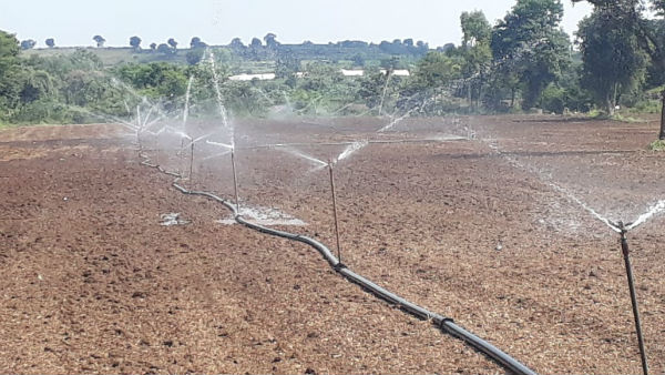 వాతావరణ మార్పుల ప్రభావం...