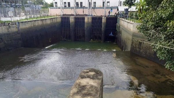 కాకులకు, గద్దలకు వేసినట్లు విసిరేశారు కాకులకు, గద్దలకు వేసినట్లు విసిరేశారు