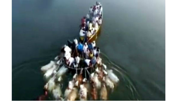 పశువులను నదిలో ఈడ్చుకుంటూ.. పశువులను నదిలో ఈడ్చుకుంటూ..