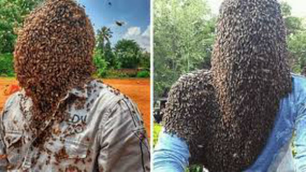 60 వేల తేనెటీగలను నాలుగు గంటల పాటు ముఖానికి పట్టించుకుని గిన్నిస్ రికార్డ్ 