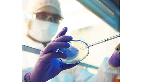 ఢిల్లీ, ముంబైకి కూడా వ్యాపించింది.. ఢిల్లీ, ముంబైకి కూడా వ్యాపించింది..