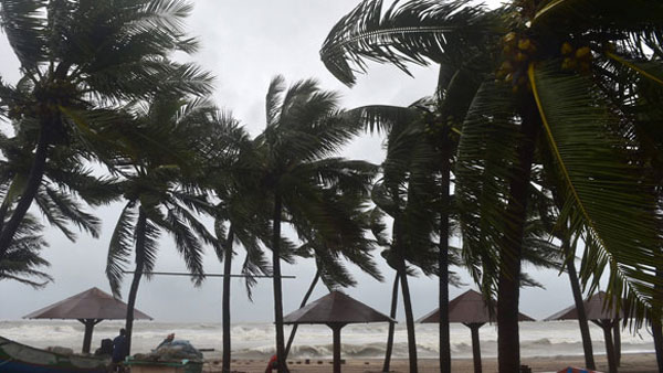 అసెంబ్లీలోనూ తుఫాను పంట నష్టంపై కొనసాగుతున్న రచ్చ అసెంబ్లీలోనూ తుఫాను పంట నష్టంపై కొనసాగుతున్న రచ్చ