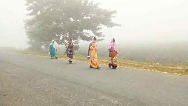 కోహిర్‌లో 3.4 డిగ్రీలు