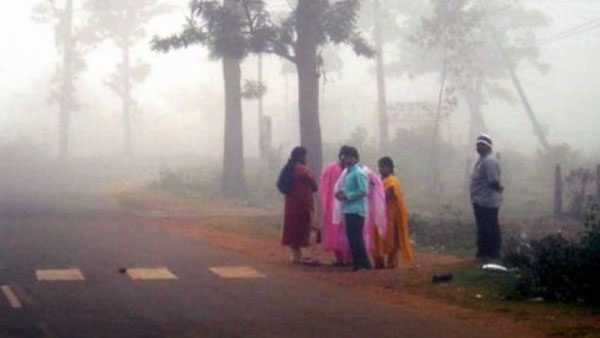 స్వెటర్లు ధరించి..