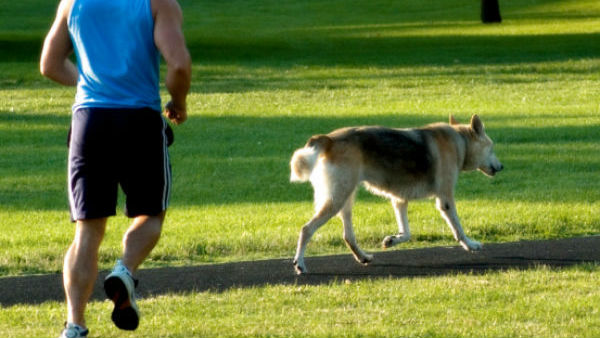 స్థానిక యంత్రాంగానికి దరఖాస్తు చేసుకుని లైసెన్స్ పొందాలని ఆదేశం 