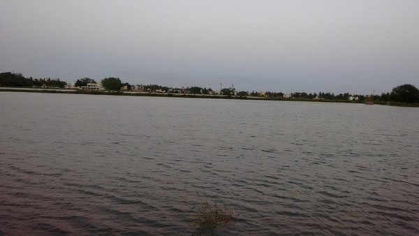 ఏలూరు వింతవ్యాధి శాంపిల్స్‌ భయానకం