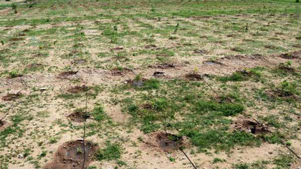 ఎల్‌ఆర్ఎస్ ఉన్నప్పటికీ...