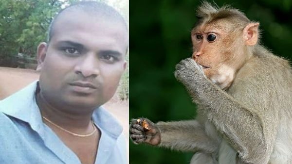 A software engineer dies after tries to went out monkey from his house in Hyderabad A software engineer dies after tries to went out monkey from his house in Hyderabad