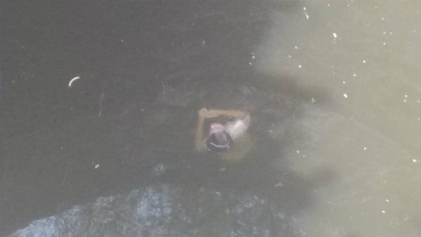 దర్యాప్తులో షాకింగ్ విషయాలు వెలుగులోకి దర్యాప్తులో షాకింగ్ విషయాలు వెలుగులోకి