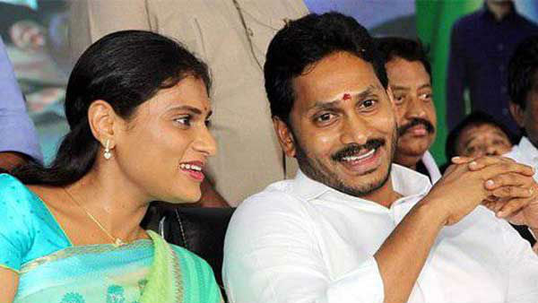 వైఎస్‌కు బలమైన ఓటుబ్యాంక్