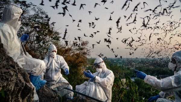 గబ్బిలాల గుహలోకి వెళ్లి..