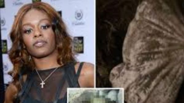 పిల్లి కూర.. లైవ్ వీడియో.. పిల్లి కూర.. లైవ్ వీడియో..