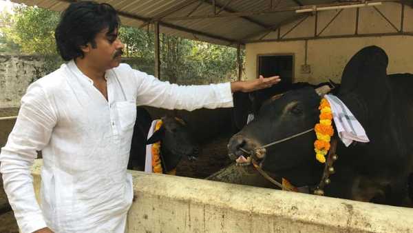 జనసేన నేత ఇంట్లో పోలీసుల సోదాలపై పవన్ చర్చ