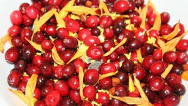  చిన్నపిల్లలపై భోగి పండ్లు ఎందుకు పోస్తారు