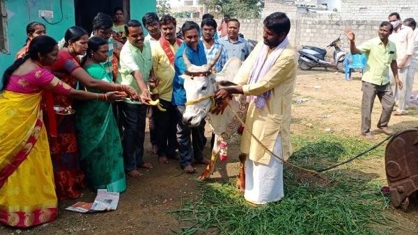 గోవును కన్నబిడ్డలా పెంచుకున్న దంపతులు 