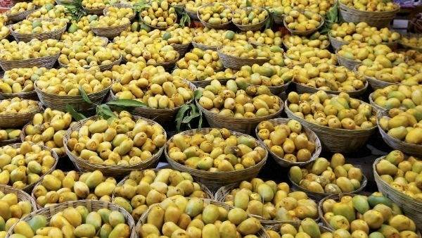  హైదరాబాద్ నగరంలో అప్పుడే కనిపిస్తున్న మామిడిపండ్లు 