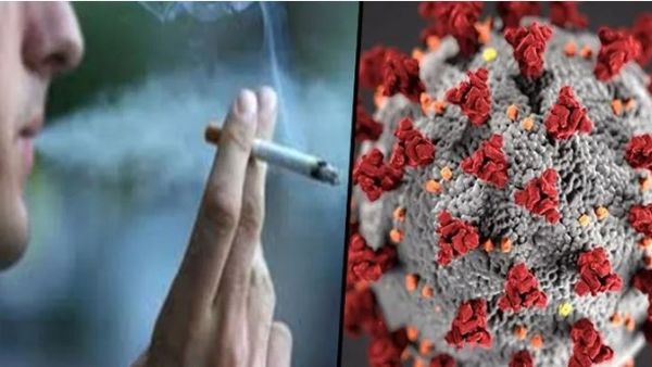 యాంటీబాడీస్ యొక్క ప్రాబల్యం మరియు వ్యవధిపై సర్వేలో ఆసక్తికర ఫలితాలు 