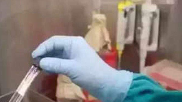 నపుంసకులుగా మారుతారా?