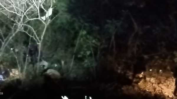 araku bus accident: ap governor, ts cm kcr, tdps chandrababu, lokesh reactions araku bus accident: ap governor, ts cm kcr, tdps chandrababu, lokesh reactions