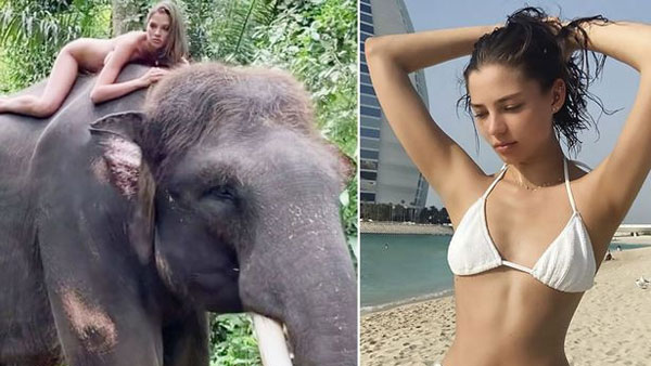 ఇదేనా మానవ స్వభావం?