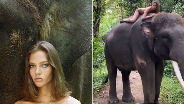 అంతరిస్తోన్న జాతితో ఆటలా?