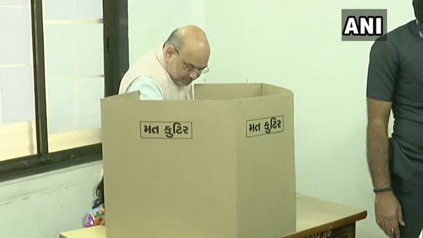 Gujarat local body polls: Union Minister Amit Shah casts his vote at Ahmedabad