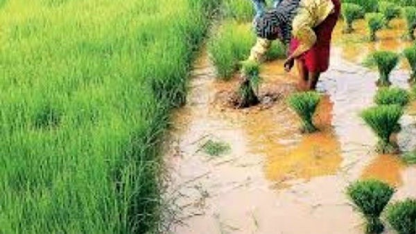 సమస్య ఎక్కడంటే ? సమస్య ఎక్కడంటే ?