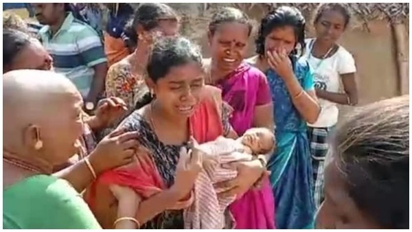 కవలల్ని ఎత్తుకెళ్లిన కోతులు