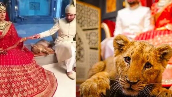  సింహం కూనతో ఫొటోలు..