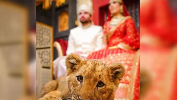  బుద్దుందా మీకు?