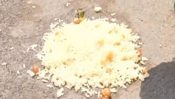 నడిరోడ్డుపై ఆహారాన్ని తింటూ.. నడిరోడ్డుపై ఆహారాన్ని తింటూ..