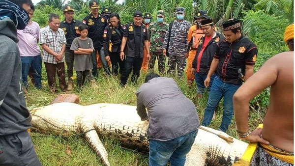 కలిమంతన్ దీవిలో ఘటన.. కలిమంతన్ దీవిలో ఘటన..