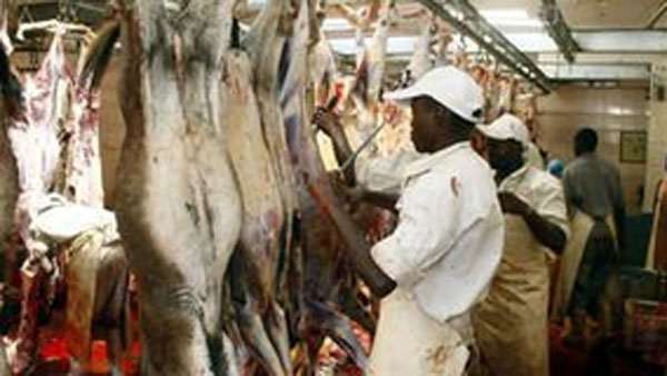 గాడిద రక్తానికి కూడా డిమాండ్... గాడిద రక్తానికి కూడా డిమాండ్...