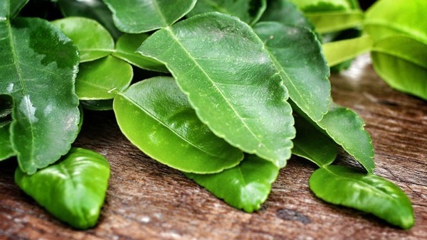  పడుకునే ముందు నిమ్మ ఆకులు