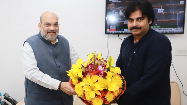 ప్రత్యేక దృష్టితో చూడమని అమిత్ షాకి చెప్పాను: పవన్ కళ్యాణ్